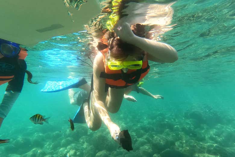 Snorkeling in Pacific waters