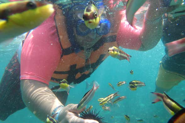 Kayak y snorkel en la bahía de Zihuatanejo