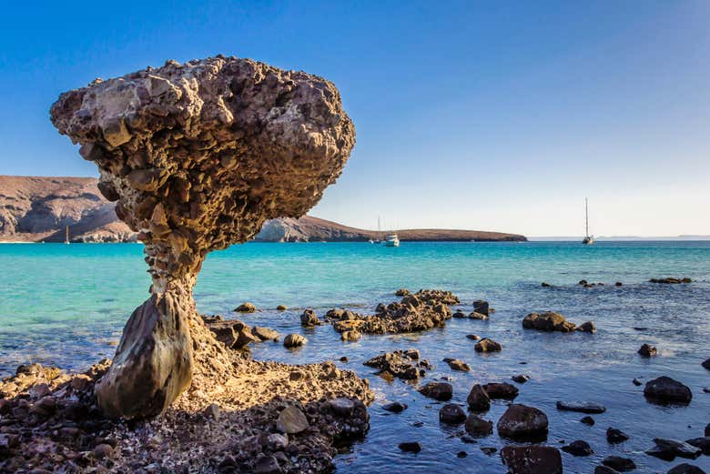 Balandra Beach Day Trip from La Paz & Swimming with Sea Lions