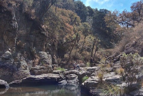 Senderismo por la Sierra de Lobos desde León 