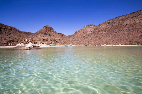 Excursión a Isla Espíritu Santo