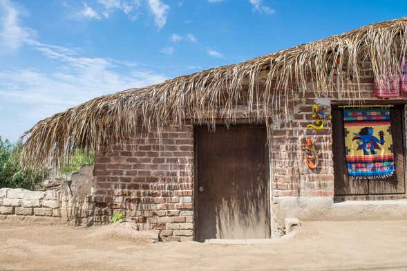 Excursión a Todos Santos