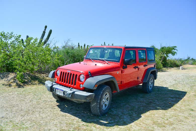 Excursión en jeep a Cabo Pulmo