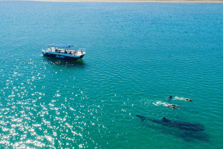 Excursión a La Paz desde Los Cabos