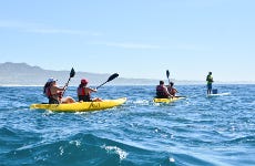 Kayak y snorkel en Los Cabos