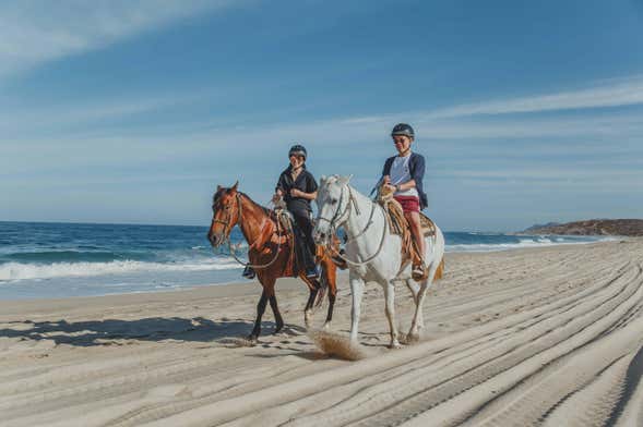 Beach and Desert Horseback Riding