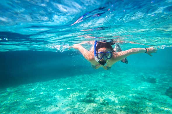 Snorkel en Los Cabos