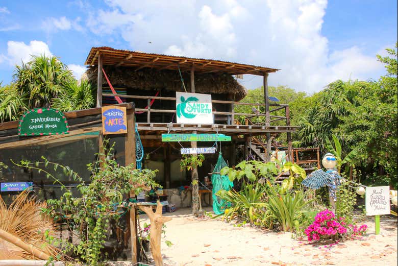 Campamento tortuguero 