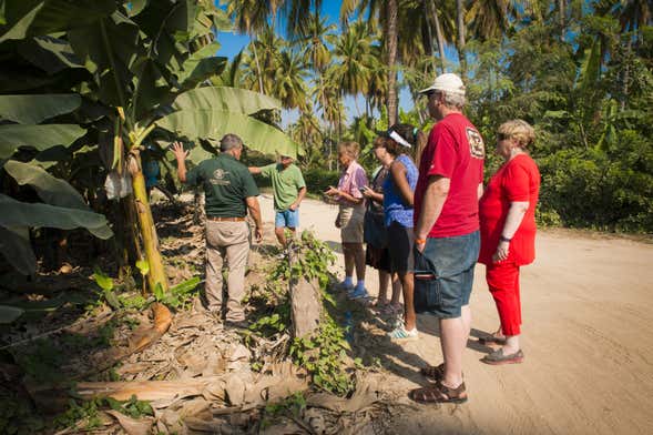 Tour de la fruta tropical