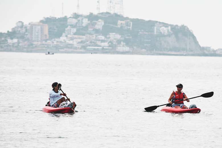 Tour en kayak hasta la Isla de Venados 