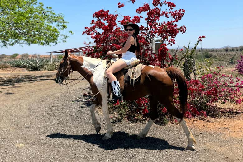 Enjoy horseback riding in Mazatlan