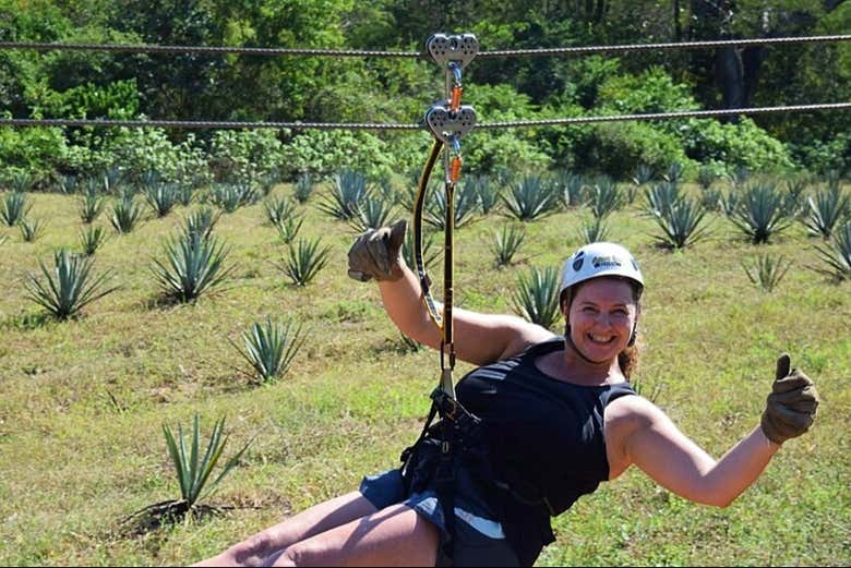 El circuito de tirolinas discurre sobre un campo de agave