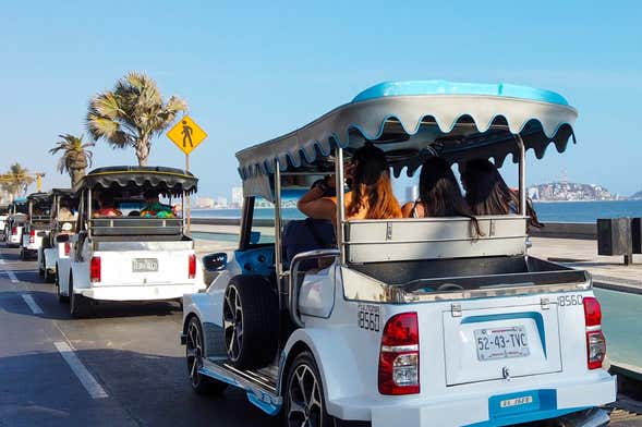 Pulmonia Tour of Mazatlán