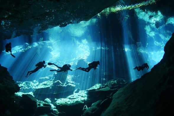 Cenote Diving in Mérida