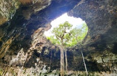 Excursión a los cenotes de Homún