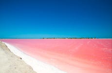 Excursión a Las Coloradas y Río Lagartos