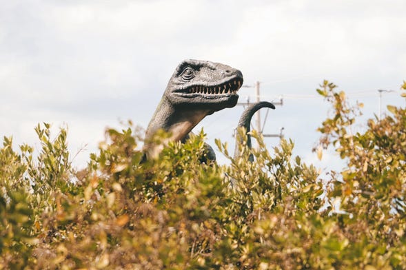 Excursión al Museo del Meteorito y Sendero Jurásico