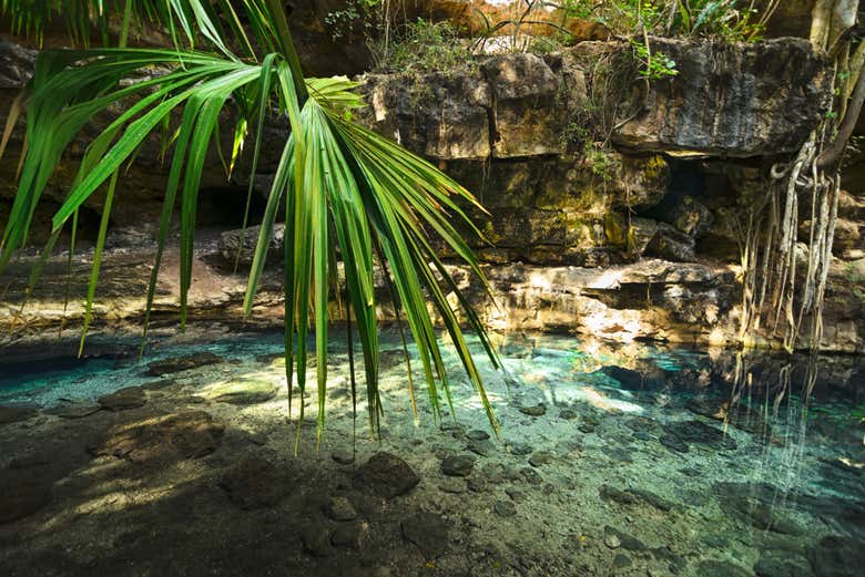 Panoramica di un cenote