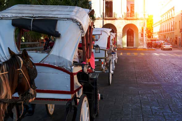 Paseo privado en calesa por Mérida