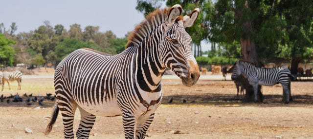 Escursione al Bioparco Estrella Monterrey da Monterrey