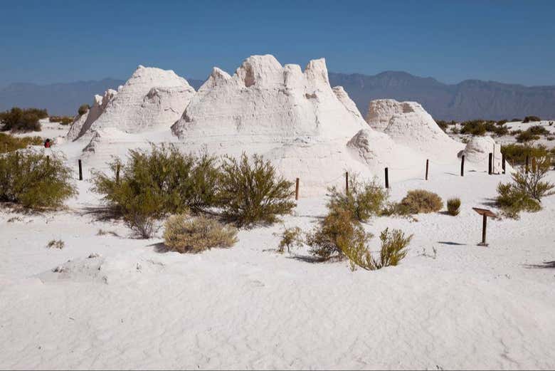 Dunes de gypse à Cuatro Ciénegas