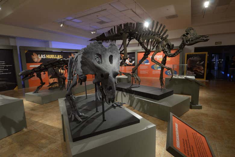 Exposição de dinossauros no Museu do Deserto