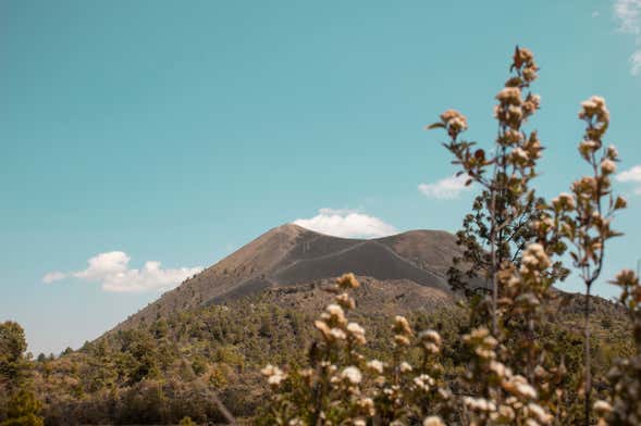 Private Tour to Paricutín Volcano & Angahuan