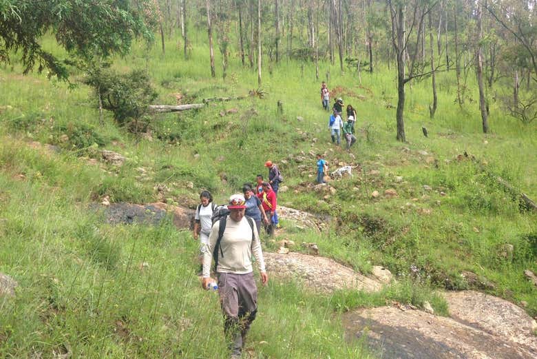 Hiking in Los Filtros Viejos nature reserve