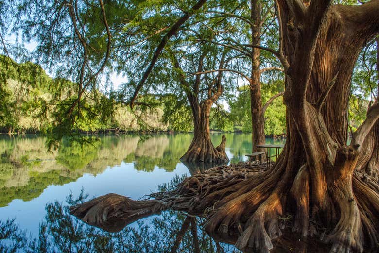 Conociendo el lago de Camécuaro