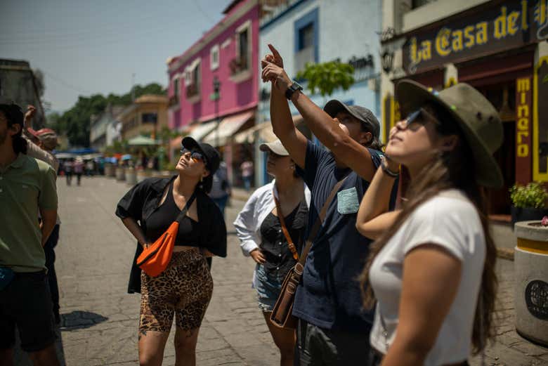 Découvrez les charmes d'Oaxaca