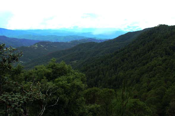 Senderismo por la Sierra Norte de Oaxaca