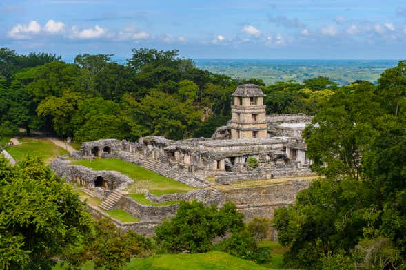 Archaeological Site of Palenque Ticket