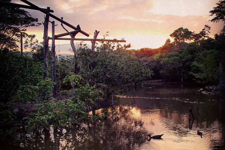 Atardecer en la selva de Aluxes