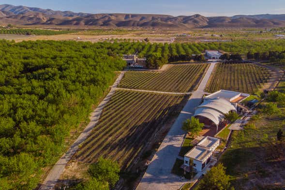 Parras de la Fuente Private Winery Tour