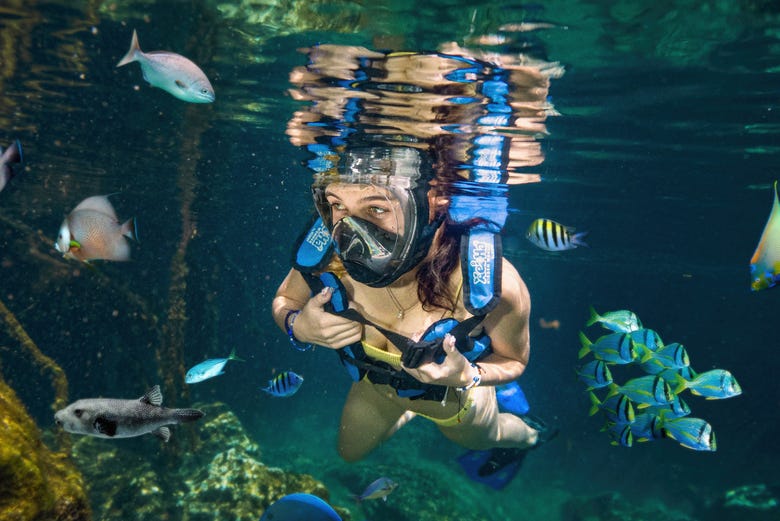 Excursión a Tulum y XelHá desde Riviera Maya, Playa del Carmen