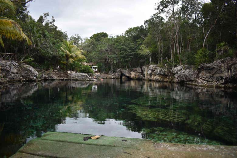 Casa Tortuga cenotes