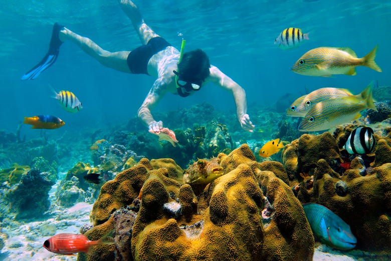 snorkel cozumel from playa del carmen