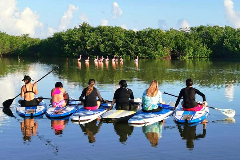 Disfrutando de la actividad en paddle board