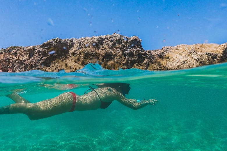 Snorkeling in the Pacific 