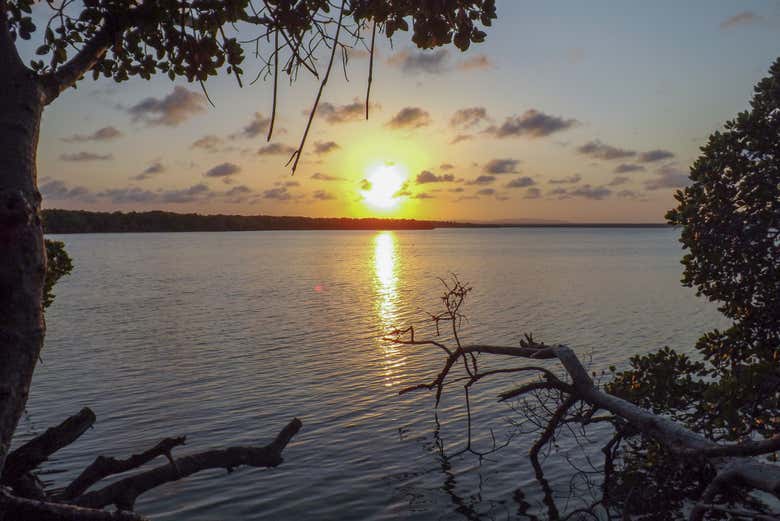 Nightfall in Rio Lagartos