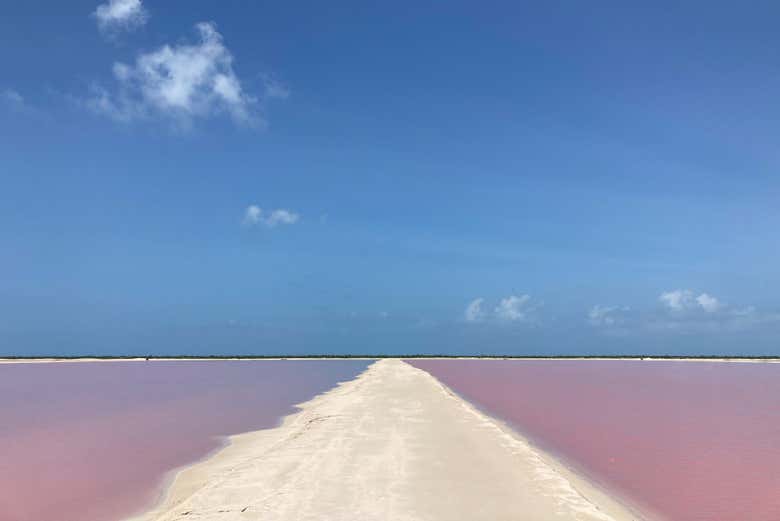 Las Coloradas landscapes