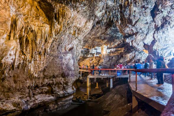 Excursión al Parque Ecoturístico Rancho Nuevo y El Arcotete