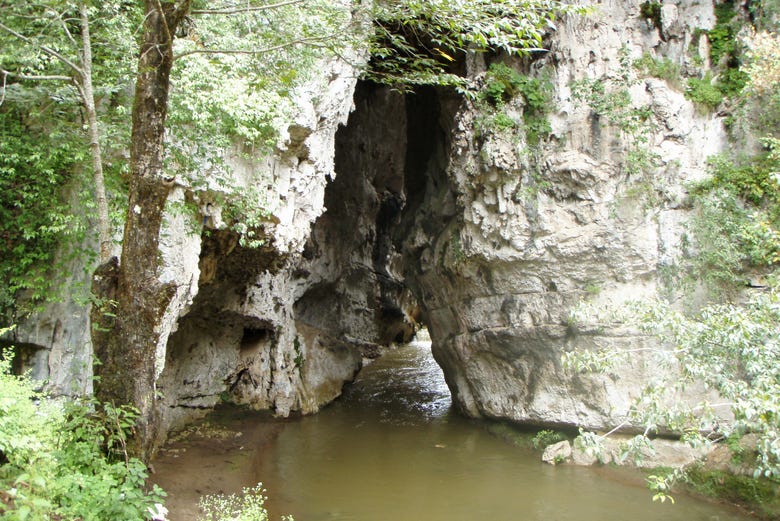 Rancho Nuevo Ecopark & El Arcotete Tour from San Cristóbal de las Casas