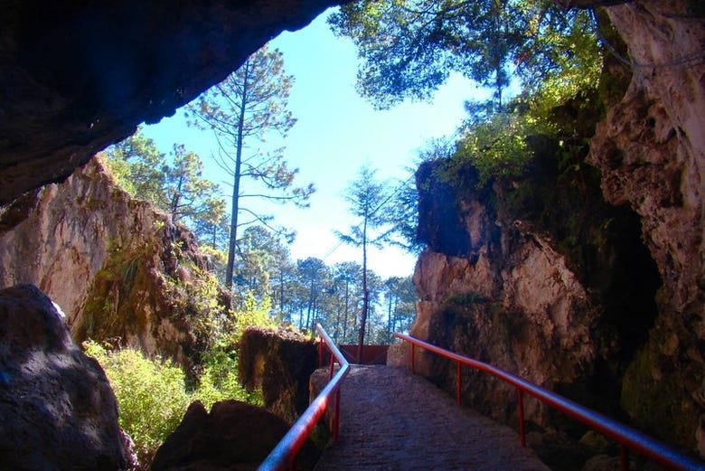 Rancho Nuevo Ecopark & El Arcotete Tour from San Cristóbal de las Casas