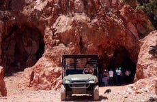 Excursión a la mina El Redentor + Visita al viñedo Viña TX