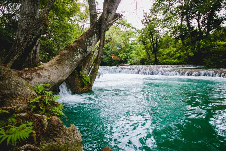 Natureza selvagem da Huasteca Potosina