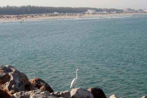 Tour por Tampico y playa Miramar