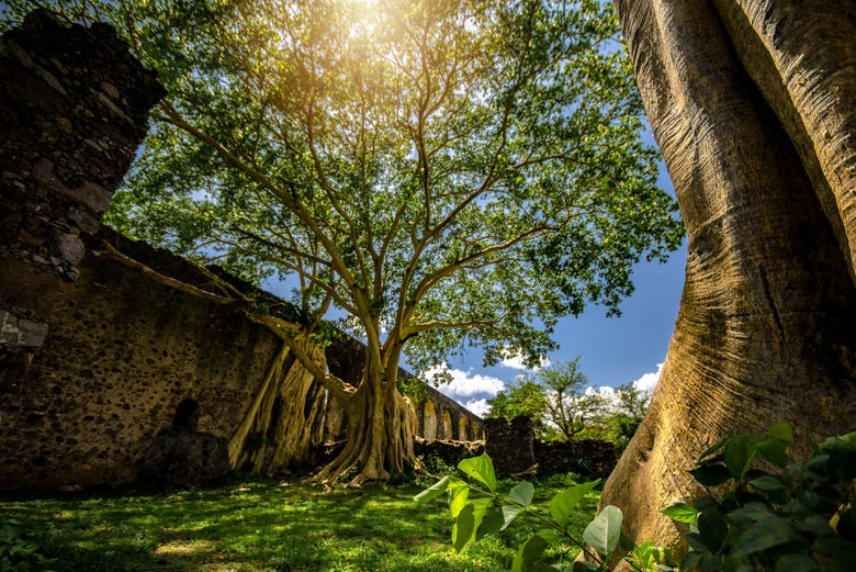 Ex Hacienda San Juan Bautista