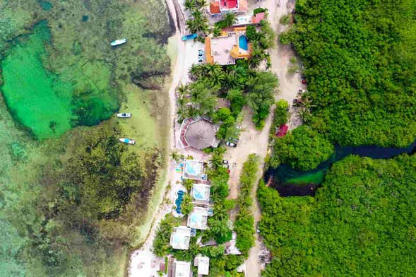 Bautismo de buceo en Tulum