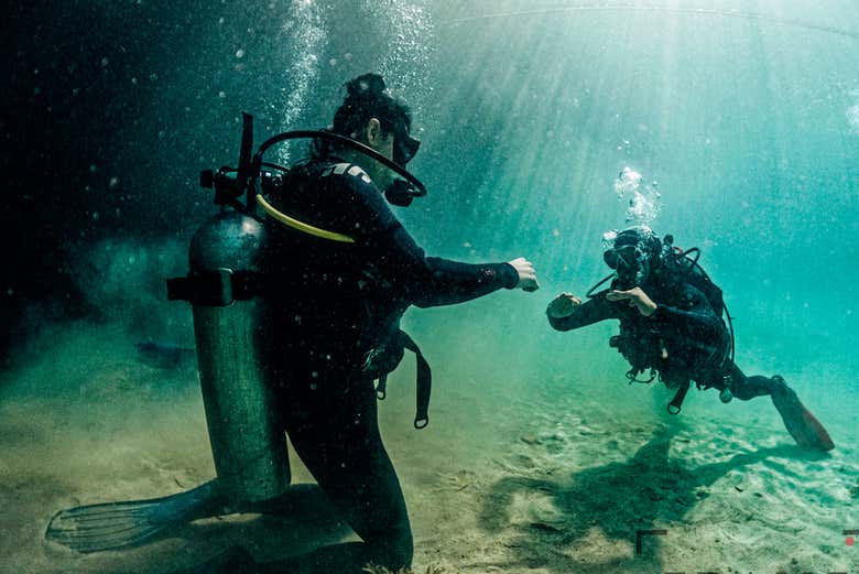 Curso De Buceo Padi Open Water En Tulum Reserva En Civitatis Com